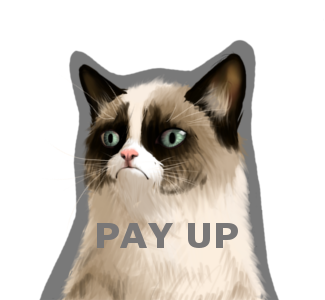 grumpy_debt_colleciton_cat